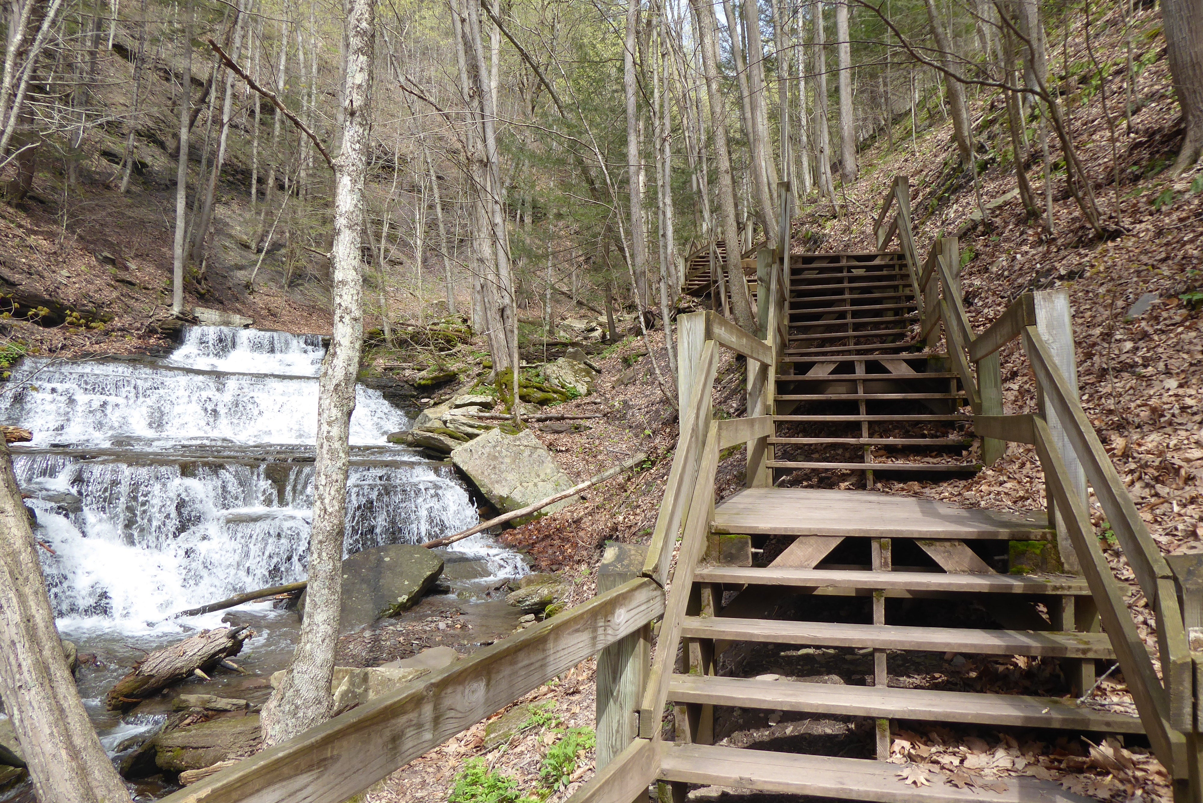 Trip Report: Spring In Pine Creek Pennsylvania – Purple Lizard Maps