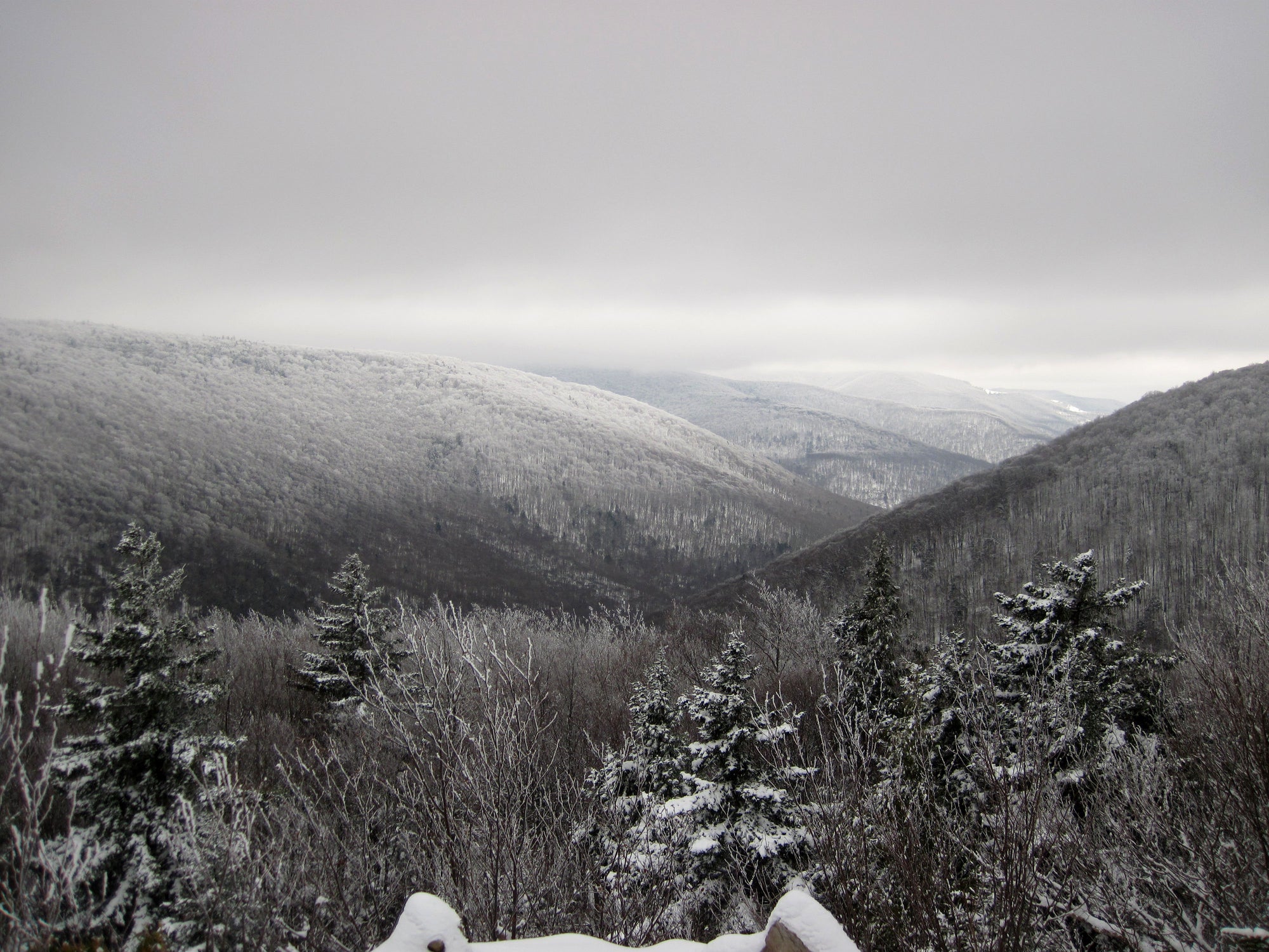 Winter Wonderland: Dolly Sods Wilderness, West Virginia