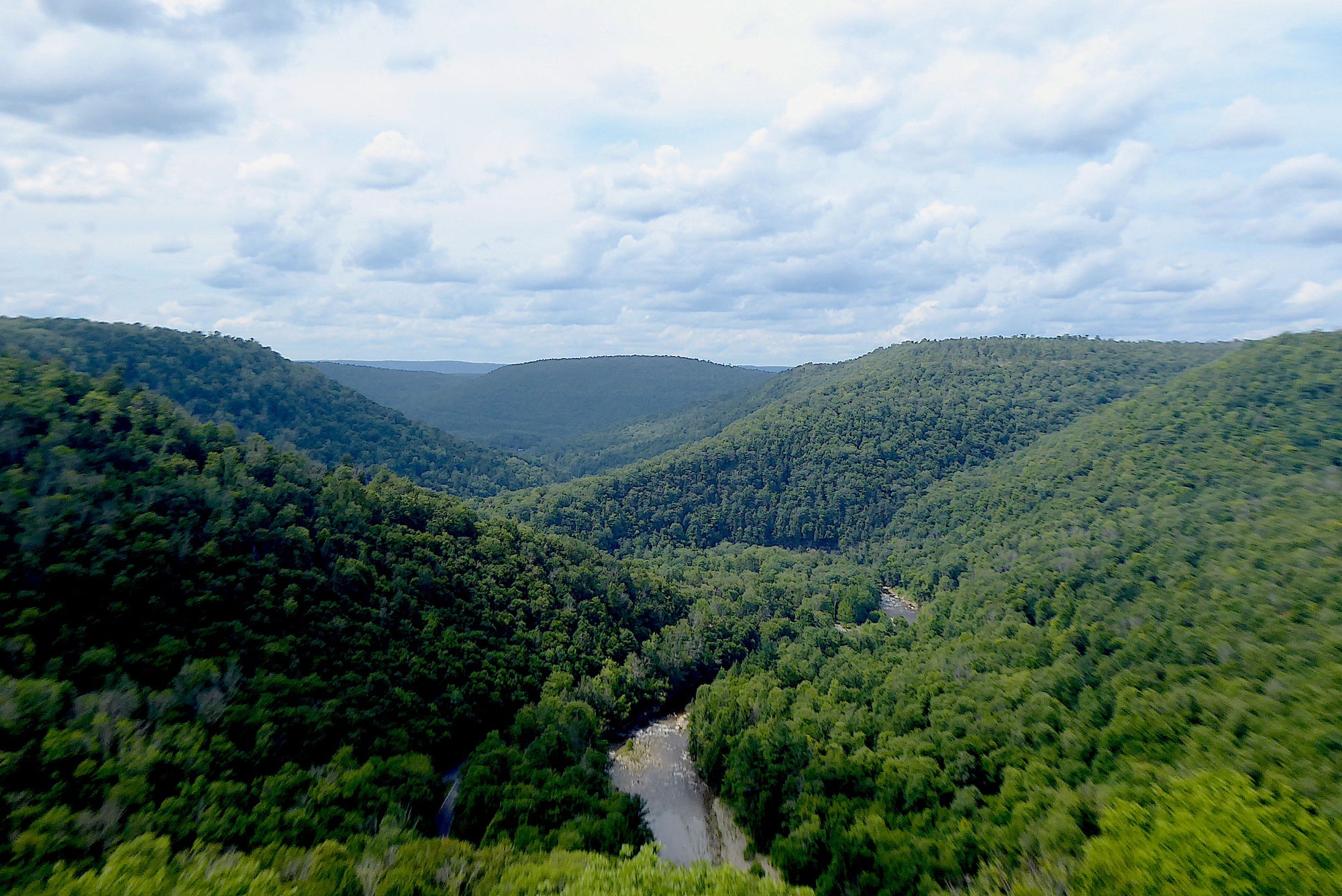Explore Loyalsock State Forest in the PA Wilds