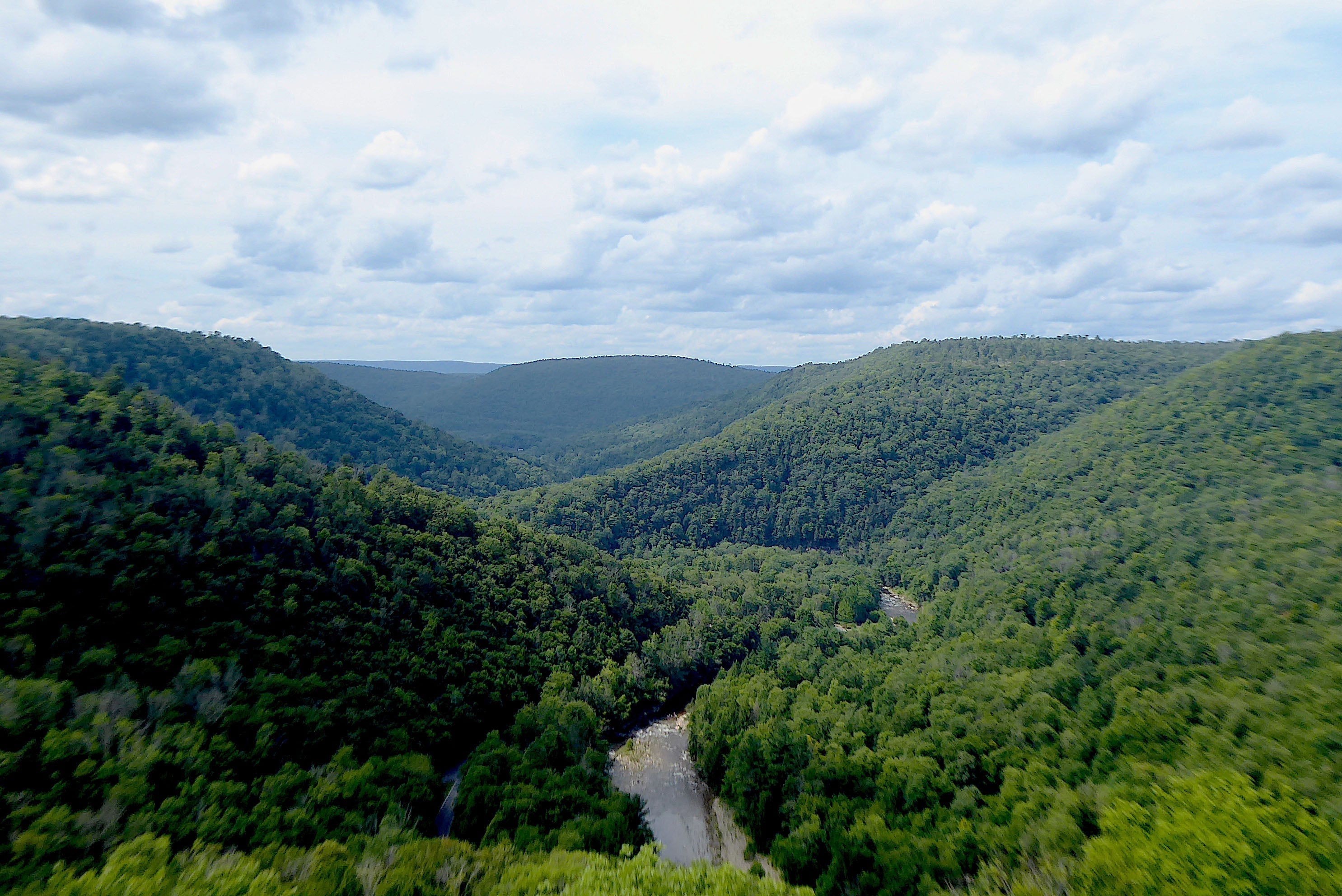 Explore Loyalsock State Forest in the PA Wilds – Purple Lizard Maps