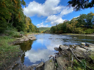 Clarion River - Cook Forest