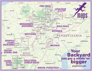 Purple Lizard Maps Locator Graphic