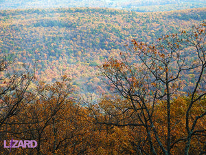 Michaux State Forest View Fall: Purple Lizard Maps