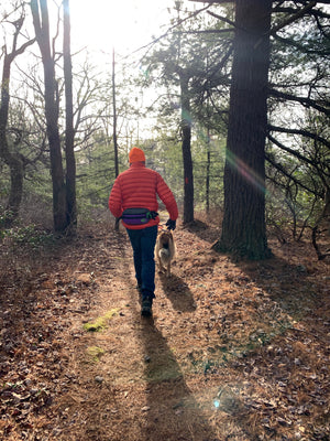 5 Simple Steps To Enjoy A Walk In The Woods