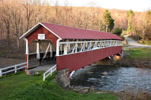 Making the Ohiopyle-Laurel Highlands Lizard Map: Notes from the Field