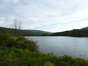 Rothrock's Newest Trail in Central Pennsylvania