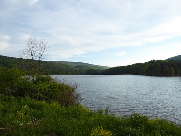 Rothrock's Newest Trail in Central Pennsylvania