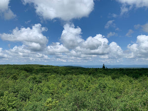 mount davis highest point pennsylvania