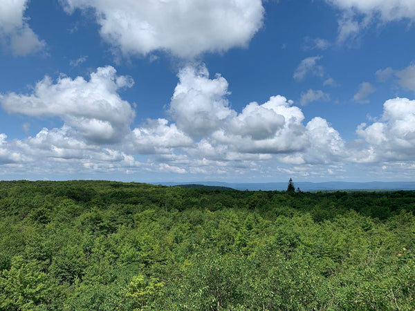mount davis highest point pennsylvania