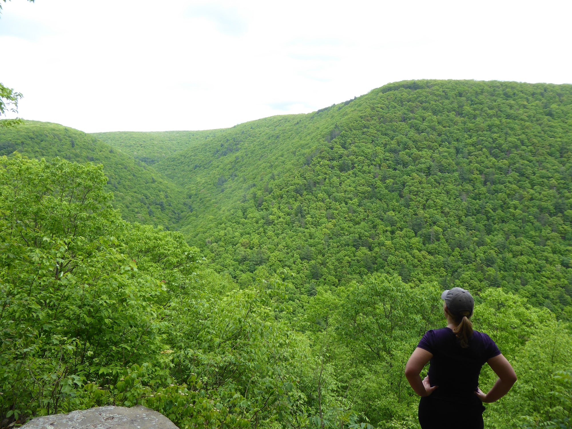 Golden Eagle View: Pine Creek PA