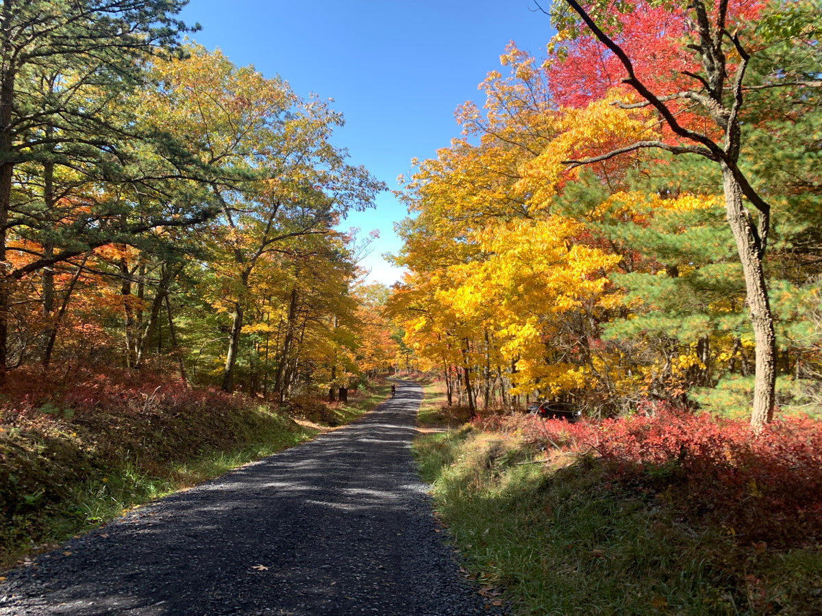 Fall Adventures Await with Purple Lizard Maps - Discover Adventure