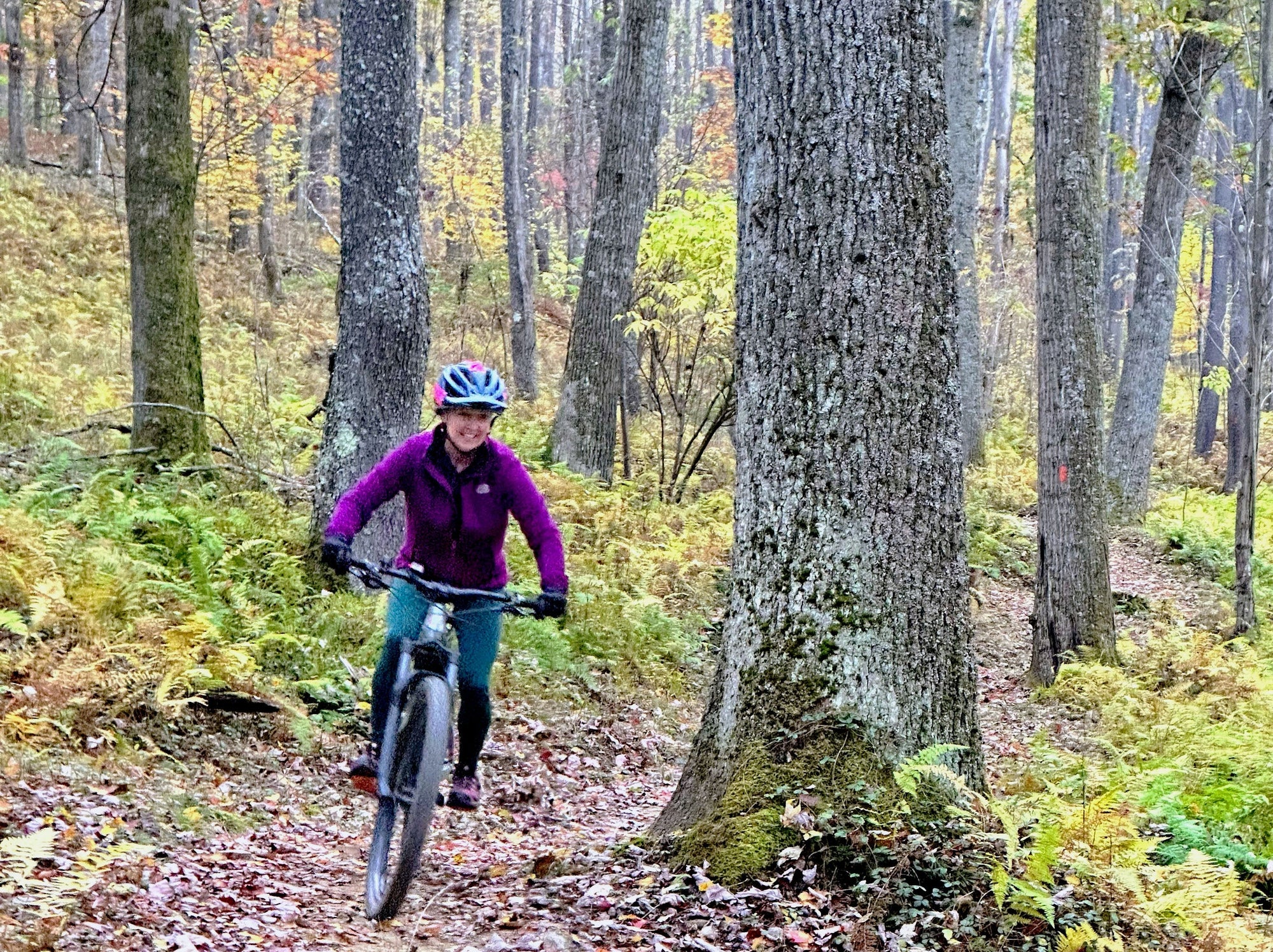Mountain biking at Herrington Manor State Park, Deep Creek MD