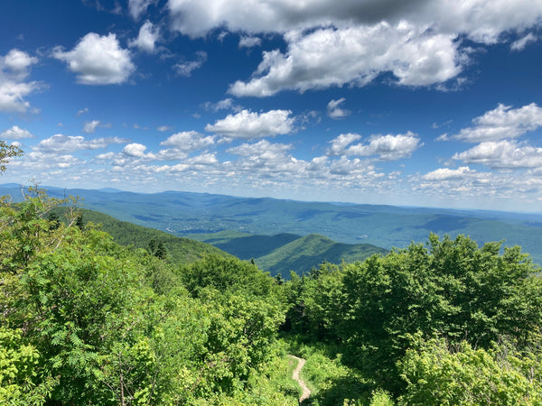 Last One to the Top Wins: Musings of a Slow, Asthmatic Hiker