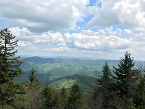 Spruce Knob Monongahela National Forest West Virginia