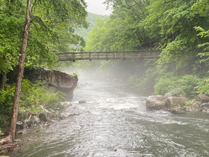 Making the Deep Creek-Savage River Lizard Map