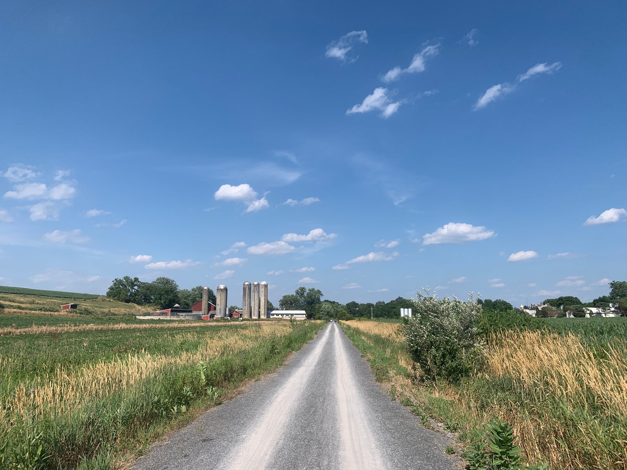 A Summer Evening on the Buffalo Valley Rail Trail