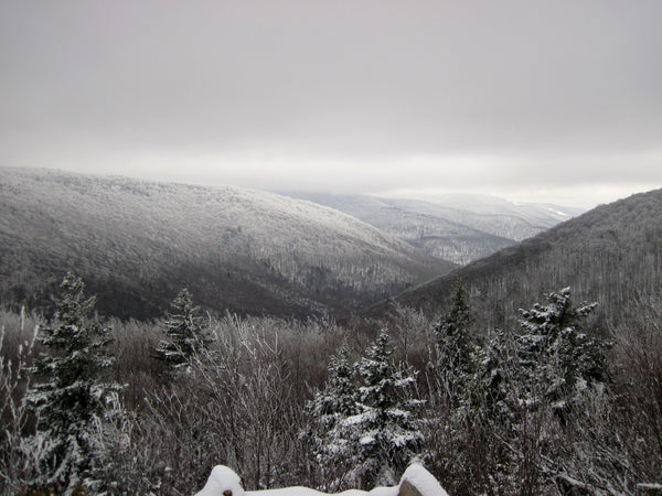 Winter Wonderland: Dolly Sods Wilderness, West Virginia