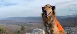 Hiking, Biking, and Running, Oh My! How to Stay Safe on Public Lands During Hunting Season
