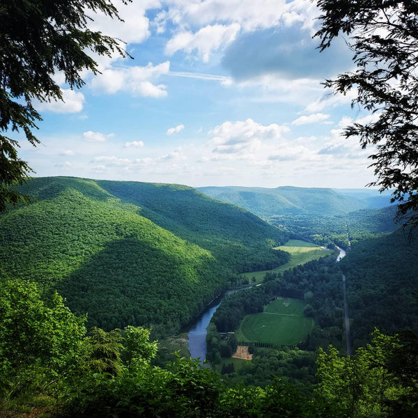 Loyalsock Trail - Finding Trust