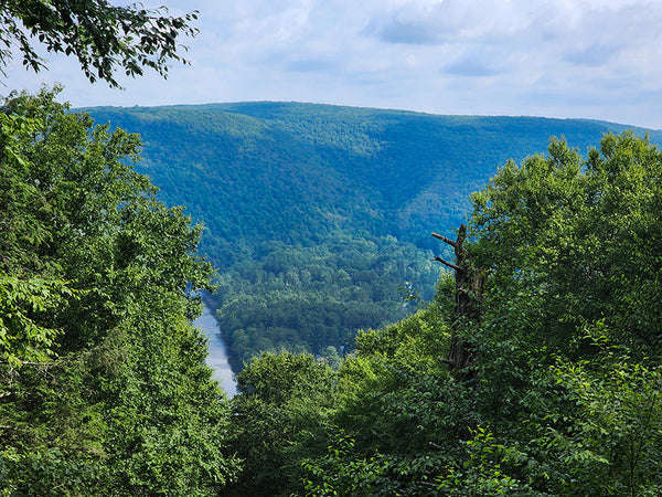 Hiking the Loyalsock Trail in Loyalsock State Forest, Pennsylvania