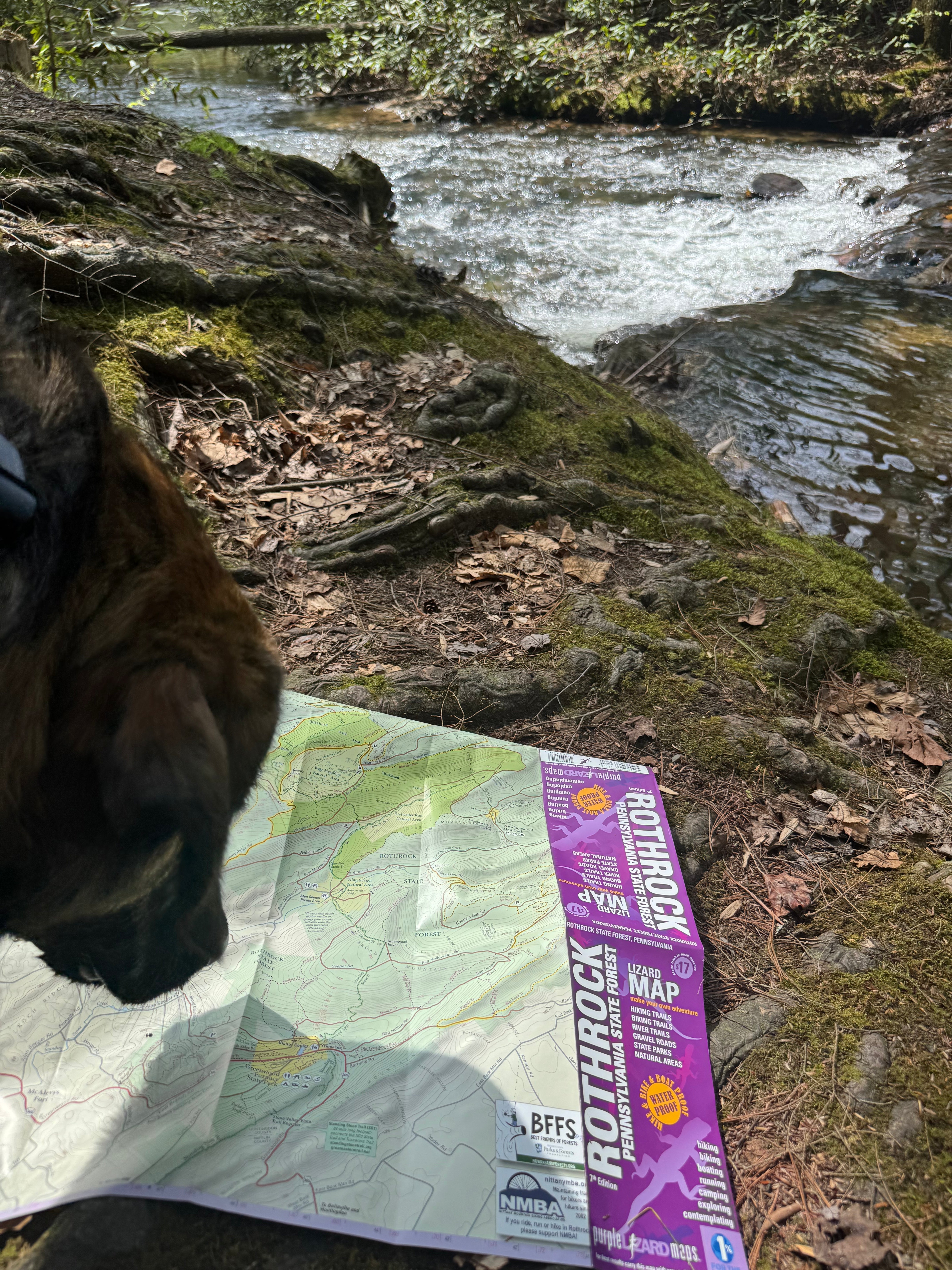 15 Ways Purple Lizard Maps Make Every Adventure Better