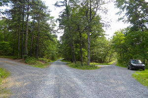 Michaux State Forest PA