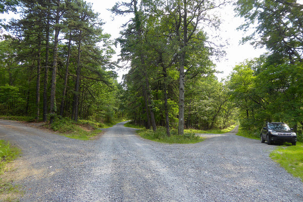 Michaux State Forest PA