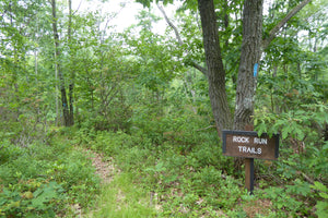 Rock Run Trail System Black Moshannon State Park Moshannon State Forest PA
