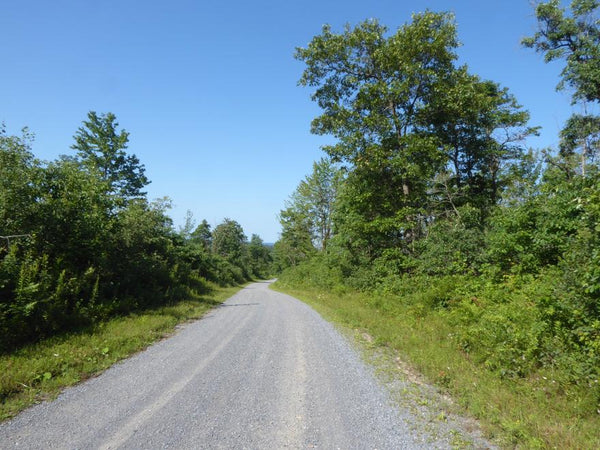 Underwood Road Black Moshannon State Park