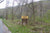 Gandy Creek Dispersed Camping Area Monongahela National Forest WV
