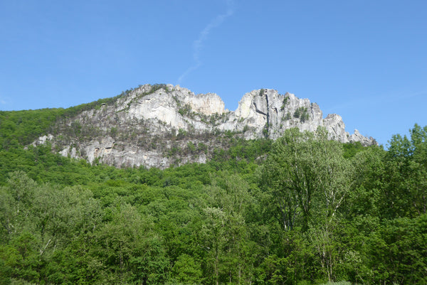 Seneca Rocks WV Monongahela National Forest