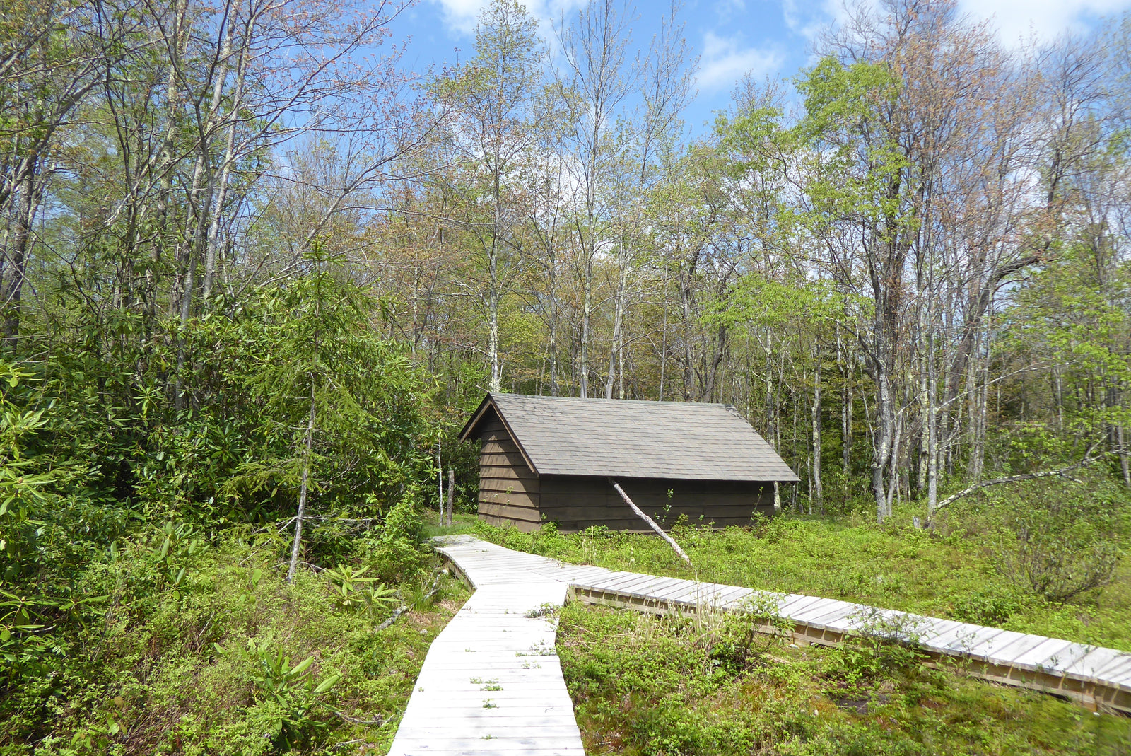 Trail Shelter Monongahela National Forest WV