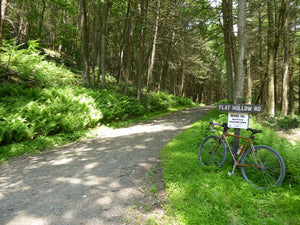 Flat Hollow Road Bald Eagle State Forest PA