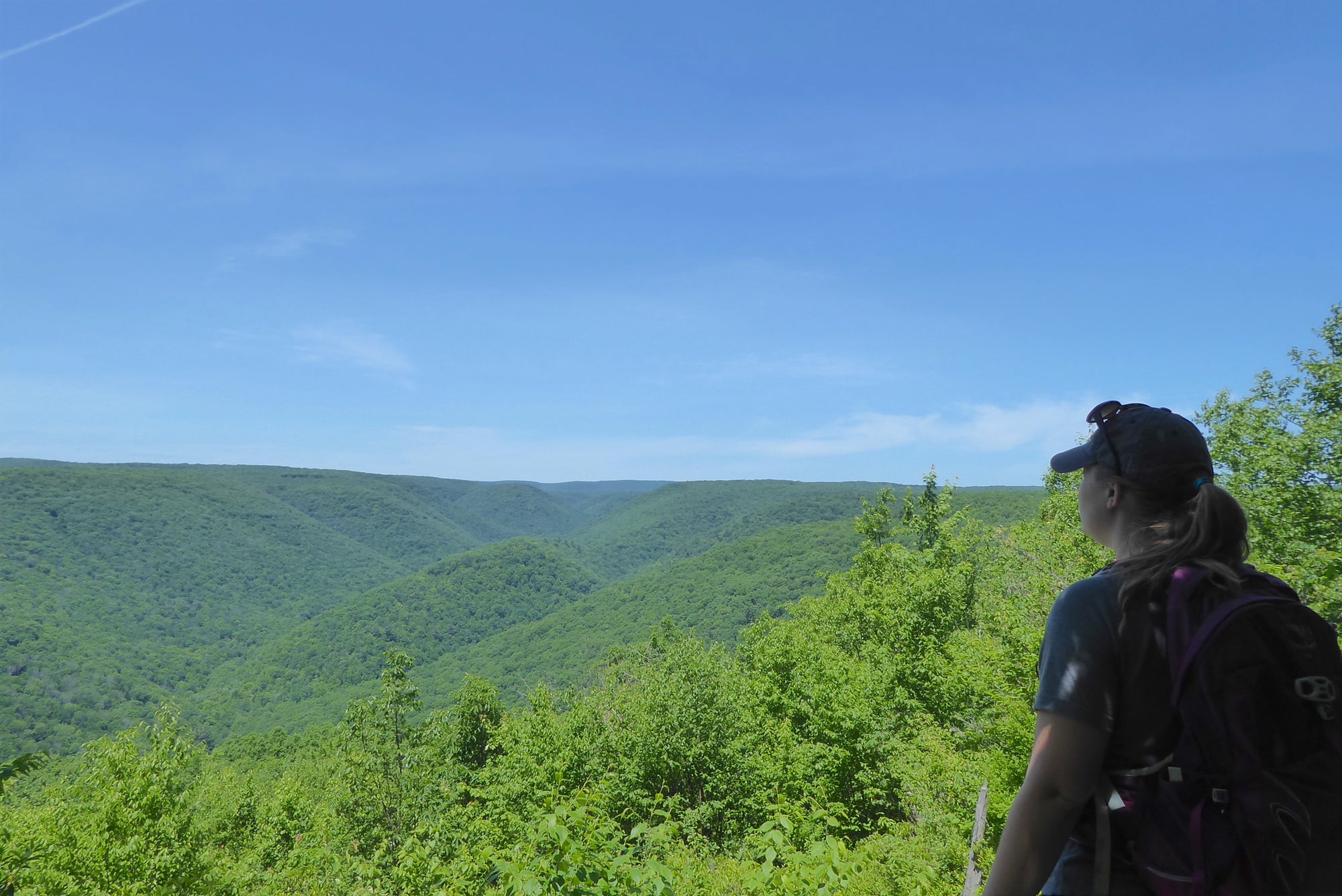 Rediscovering A Forgotten Trail Loop in Pine Creek Gorge, PA