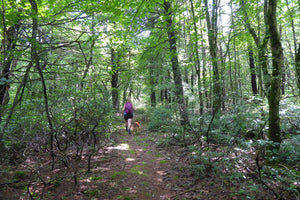 Take A Hike: 5 Steps To Enjoy A Walk In The Woods