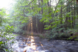 42 Miles in 24 Hours: Getting to Know Yourself on the Allegheny Front Trail in Pennsylvania