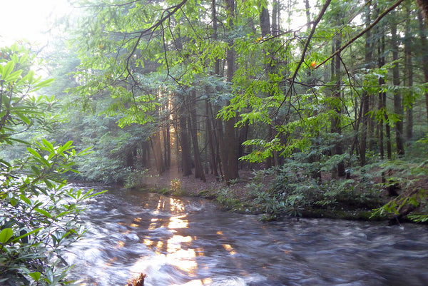 42 Miles in 24 Hours: Getting to Know Yourself on the Allegheny Front Trail in Pennsylvania
