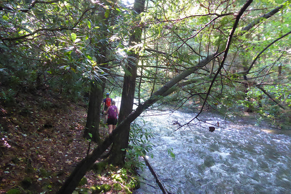 Six Mile Run North: Another Great Day In Moshannon State Forest, PA