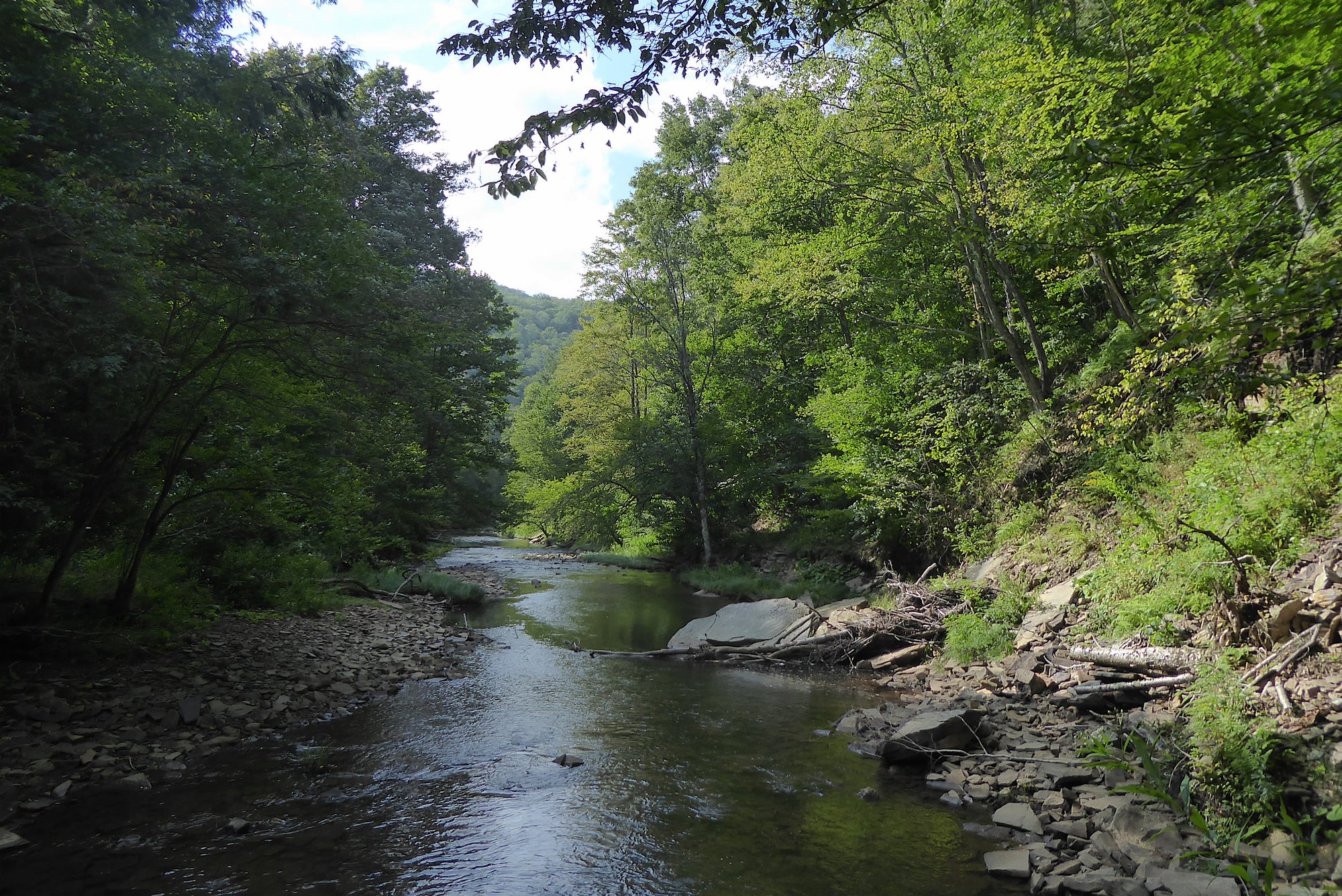 Laurel River Trail #306: Traversing Two Wilderness Areas In Monongahela National Forest, WV