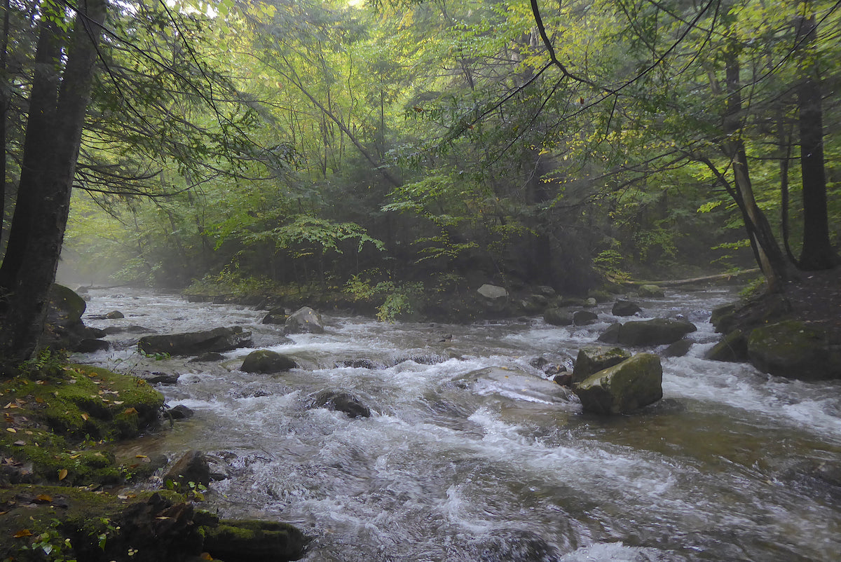 Green Monster Loop Trail System: The Best Unknown Trail System in PA ...