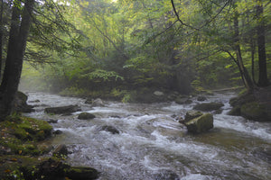Green Monster Loop Trail System: The Best Unknown Trail System in PA