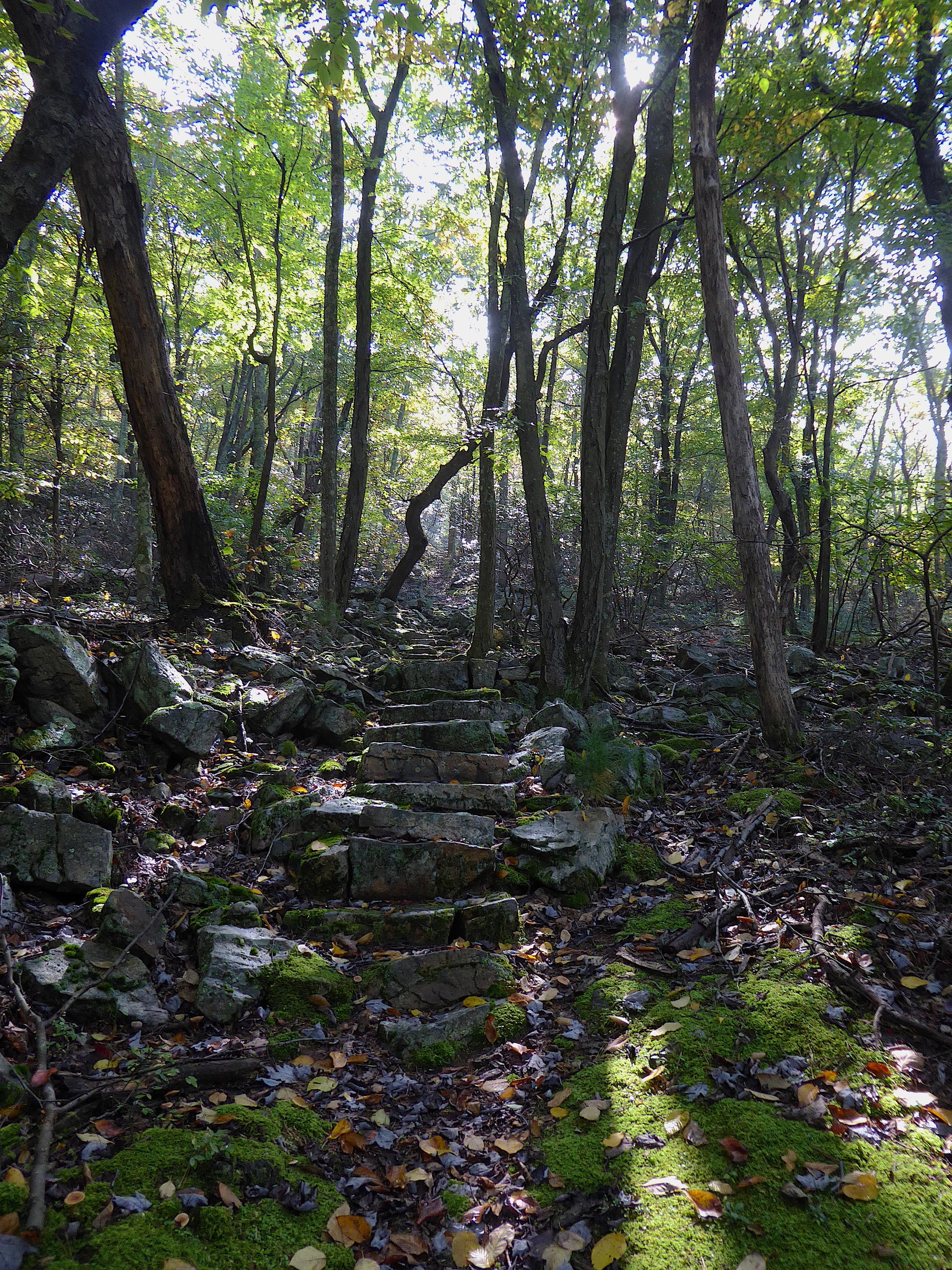 Ironstone Trail: Revisiting A Classic Hike In Rothrock State Forest, PA