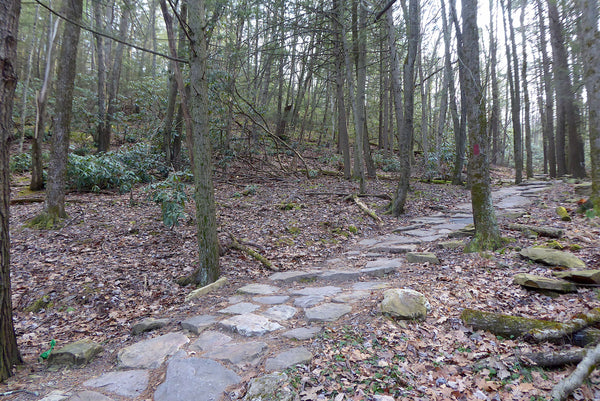 A Great Beginner Trail Running Route in Rothrock State Forest, PA