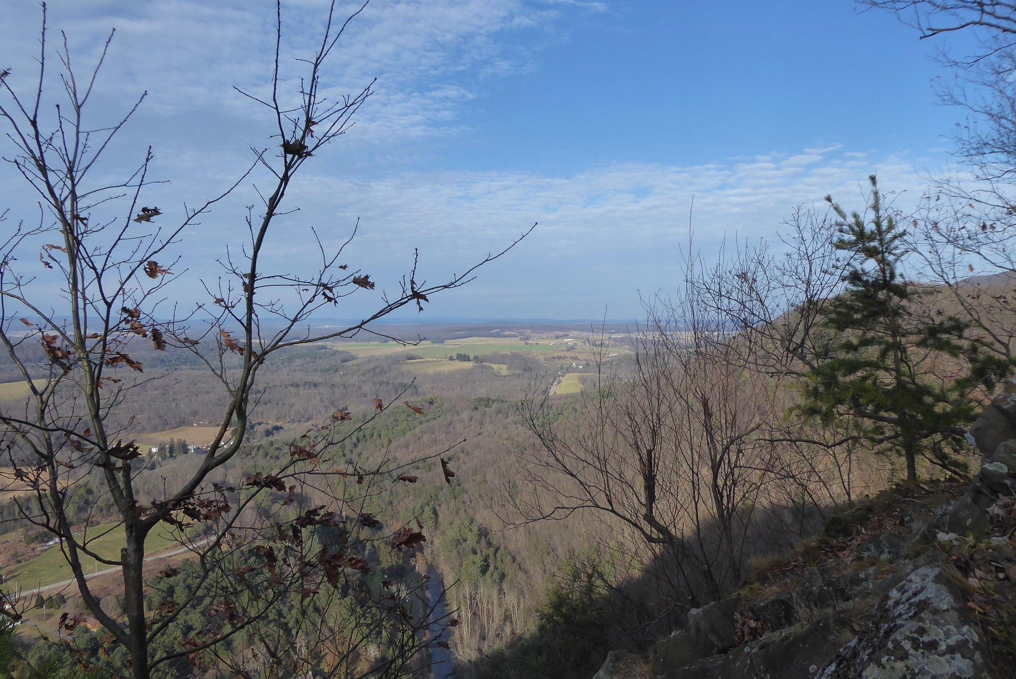 Yellow Arrow Trail: A Hike With A View In Spruce Creek, PA