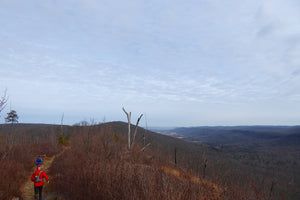 Tussey Mountain Loop: A Winter Fitness Loop In Rothrock State Forest, PA