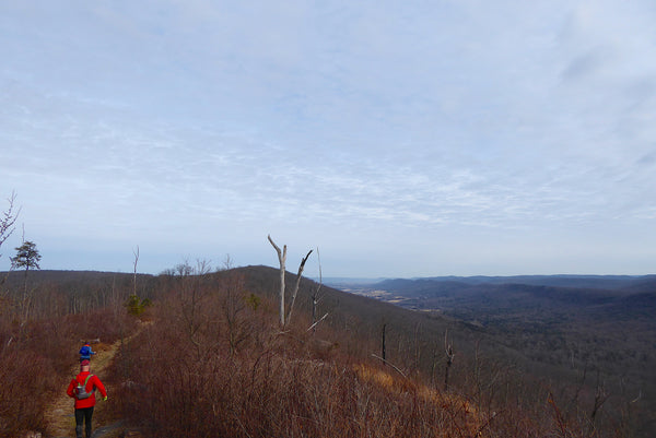 Tussey Mountain Loop: A Winter Fitness Loop In Rothrock State Forest, PA
