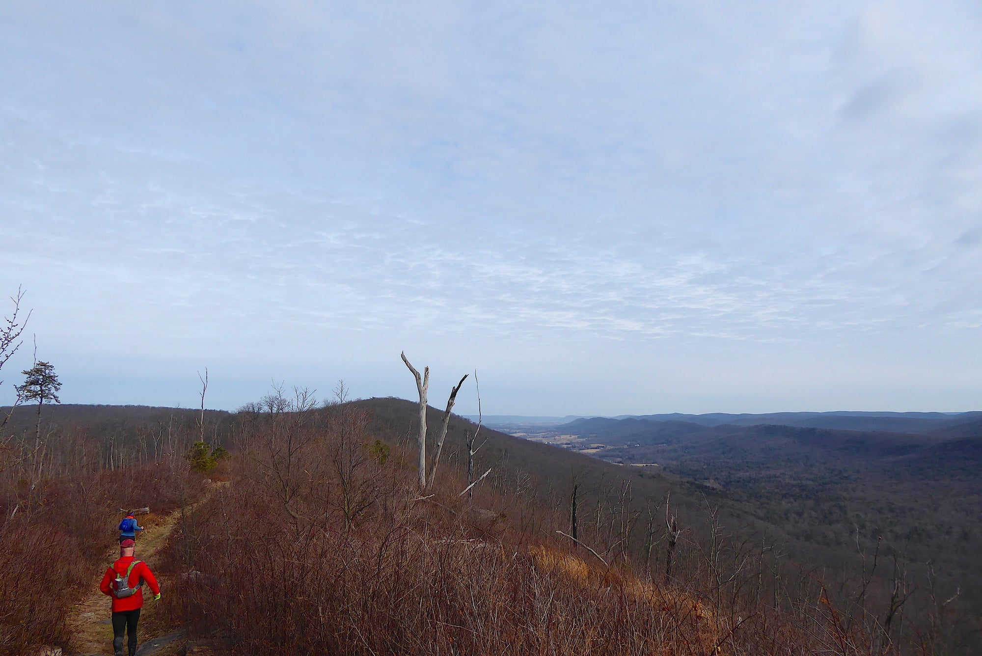 Tussey Mountain Loop: A Winter Fitness Loop In Rothrock State Forest, PA