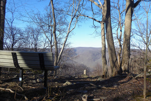 McCune Trail, Ohopyle State Park, PA