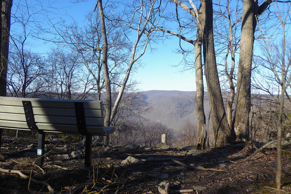 McCune Trail, Ohopyle State Park, PA