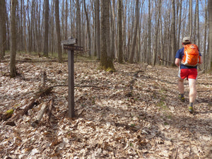 Plan An Adventure In Quebec Run Wild Area, Pennsylvania